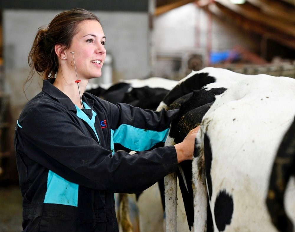Enhancing cow Health and fertility