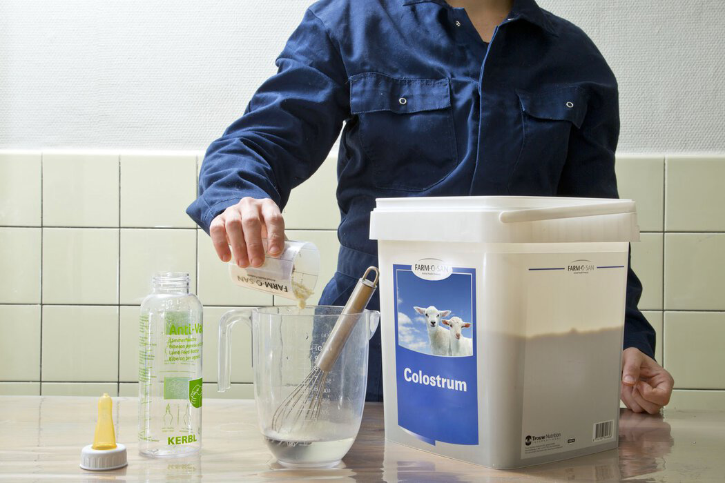 Bereiding van Farm-O-San Colostrum als biestvervanger