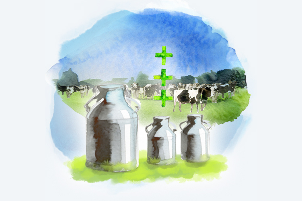 Drawn milk jugs