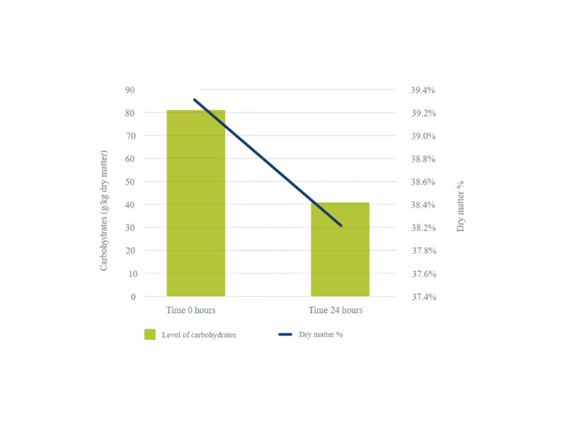 Figuur 2. Effect van microbiële fermentatie in TMR op droge stof en suikergehalte in TMR binnen 24 uur na productie – Selko-studie 2010