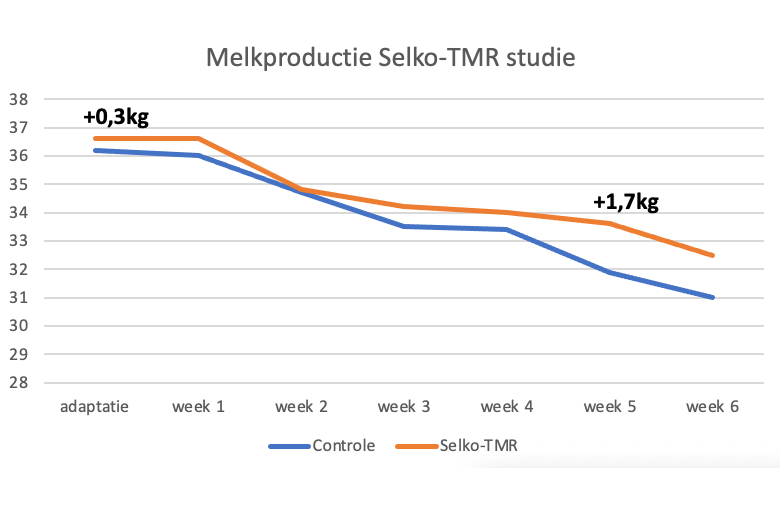 Melkproductie Selko TMR studie_new.png