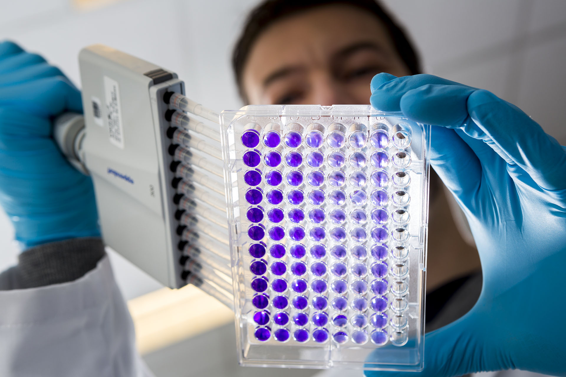 R-D-laboratory-TN-12483.jpg