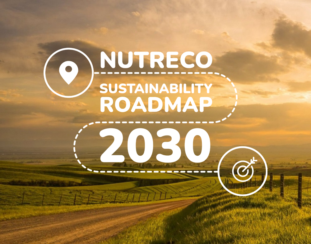 Sustainability